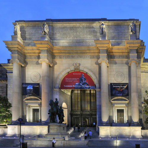 AMERICAN MUSEUM OF NATURAL HISTORY