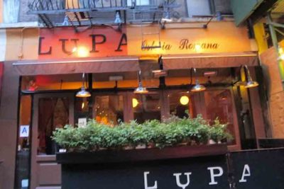 Lupa | GrandLife