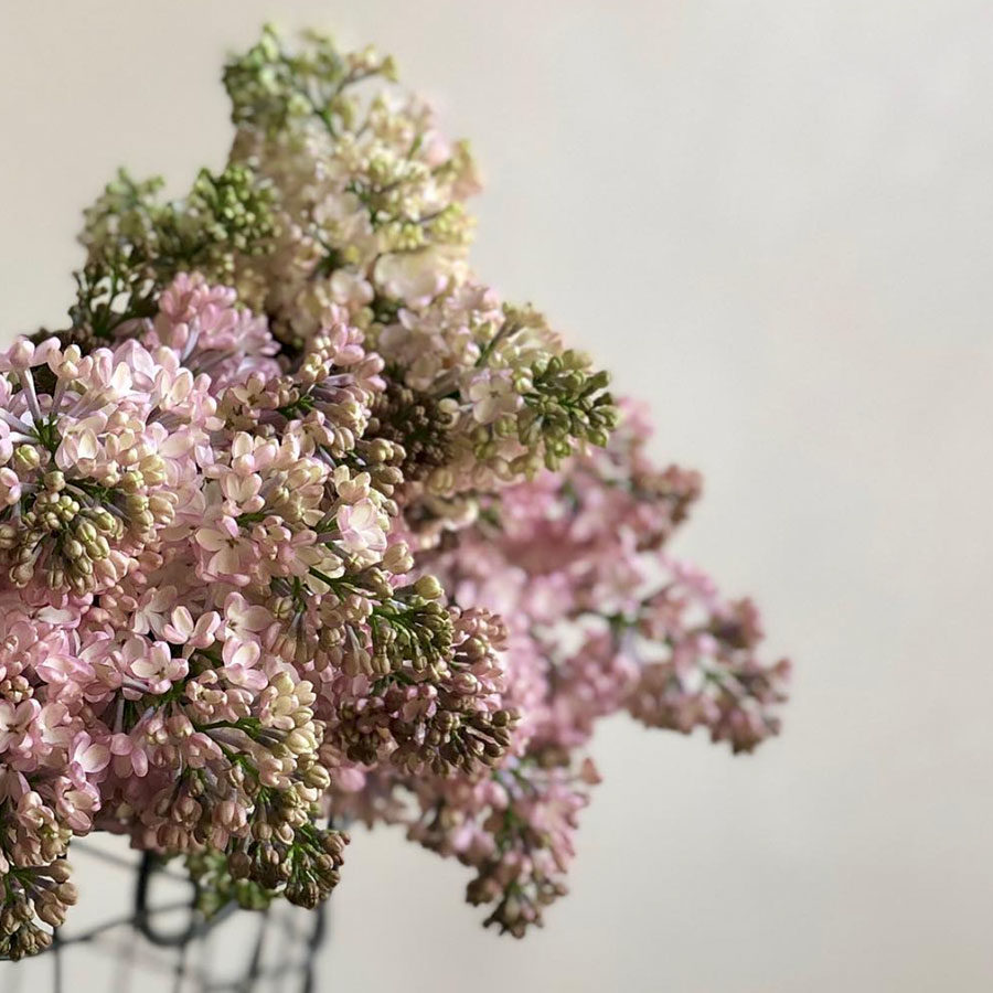 Elan Flowers Flower Shop in New York City GrandLife