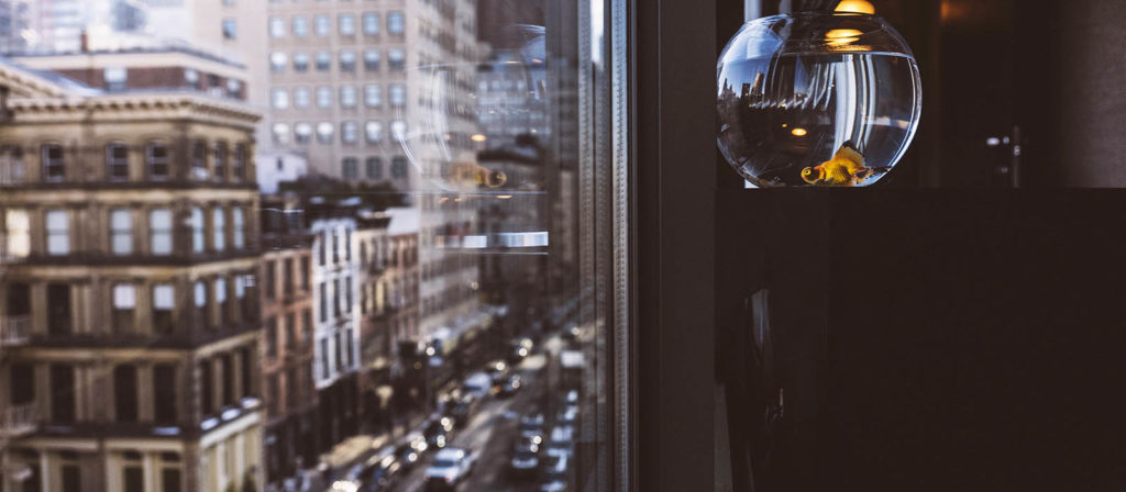 Discover the Neighborhood