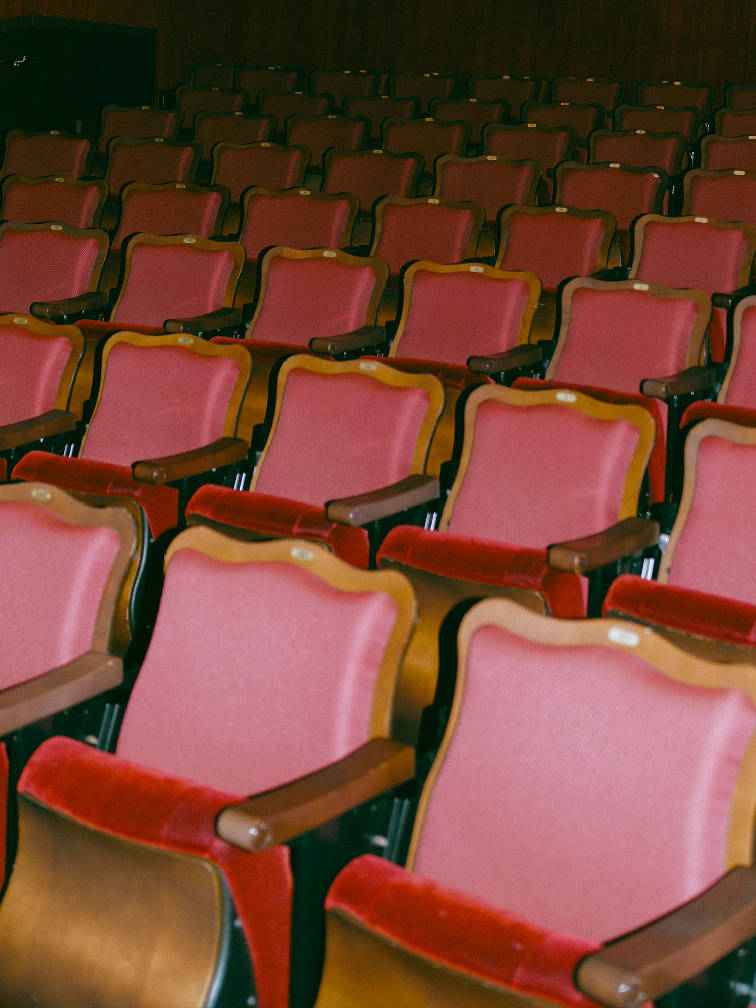 the rows of red velvet seats in the screening room of the roxy cinema in new york