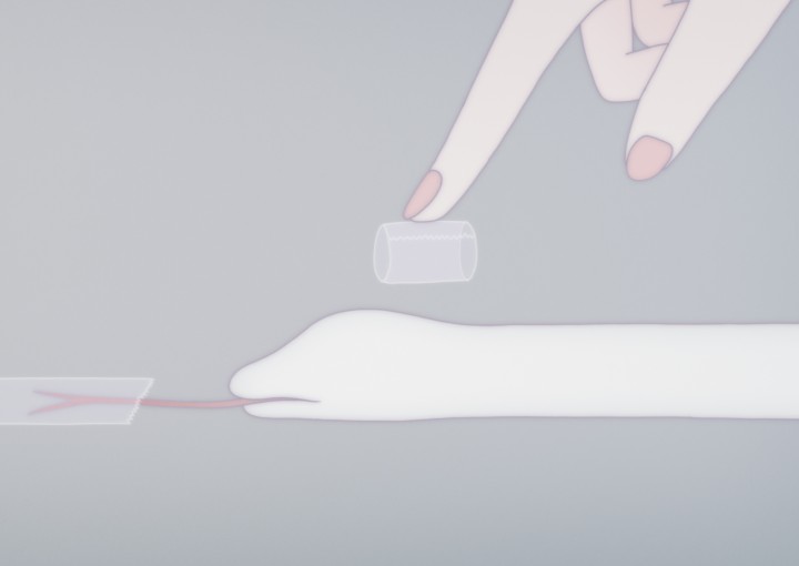 Image from the animated short Anxious Body